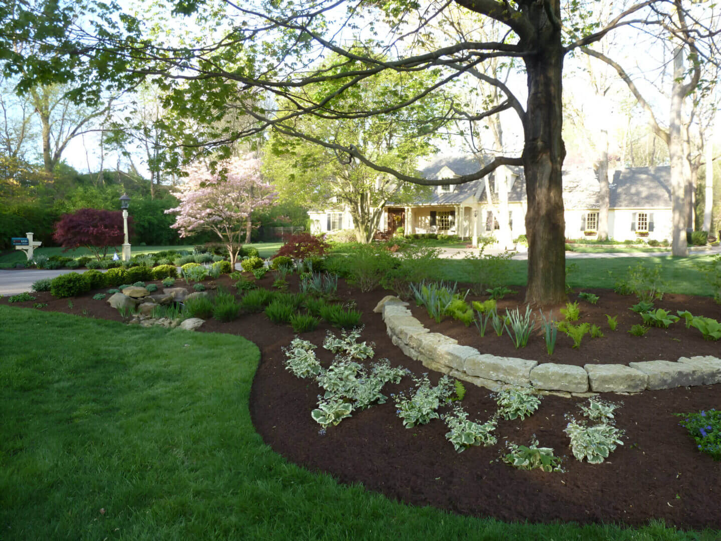 A landscaped garden with stone edging, various plants, and a large tree. A house is visible in the background under a clear sky.