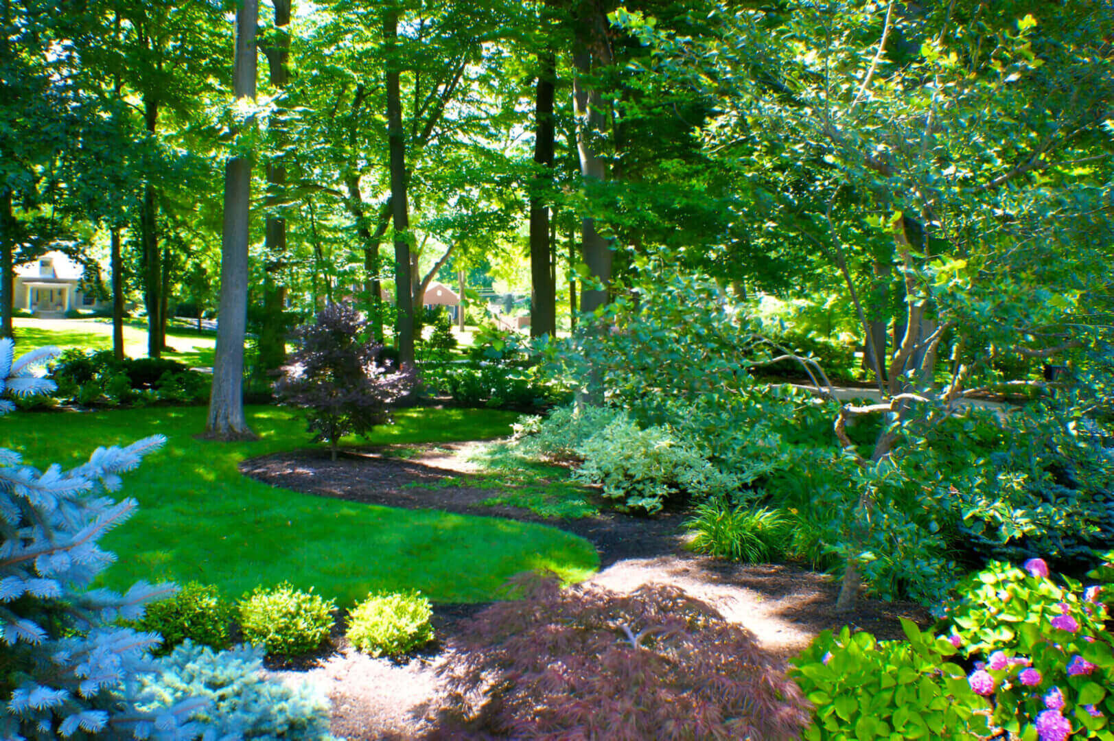 A lush, green garden with a variety of trees and shrubs, sunlit areas, and a small lawn, set in a wooded backdrop with a glimpse of a house in the distance.