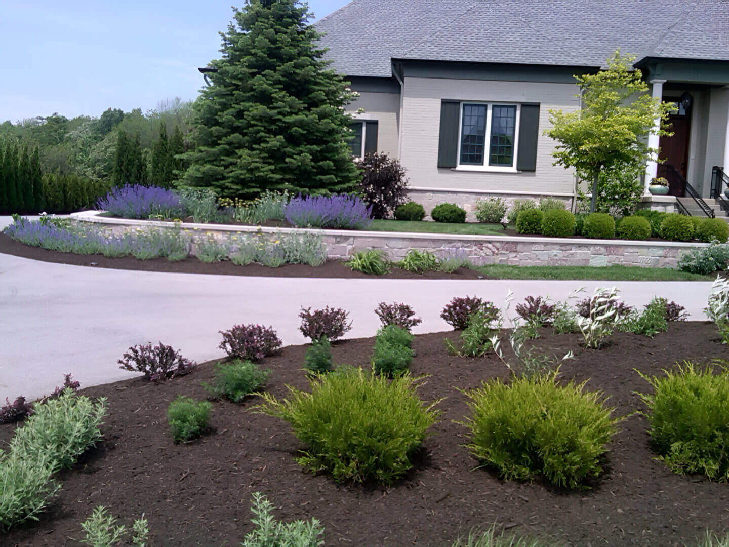 A well-maintained suburban front yard with neatly landscaped shrubs, a variety of plants, and a driveway leading to a house with gray siding and white trim.