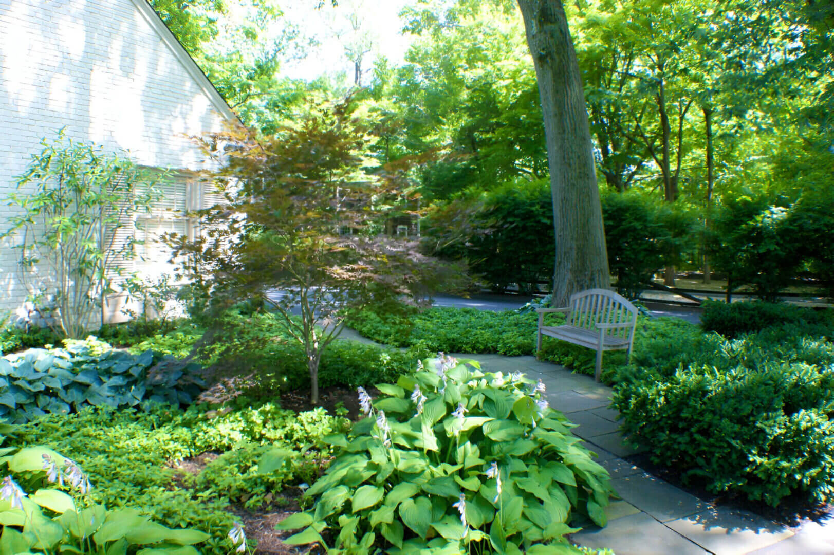 A tranquil garden scene with leafy plants, a large tree, a wooden bench on a stone path, and a house partially visible in the background.