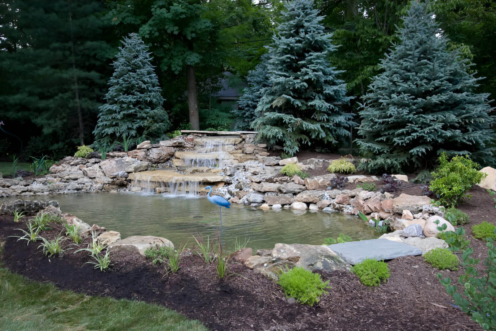 A garden pond with a small waterfall surrounded by rocks and plants. Three large evergreen trees stand in the background.