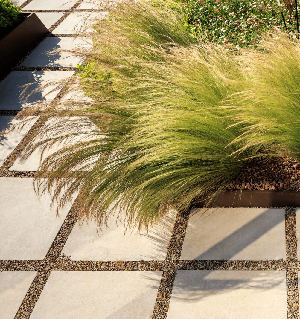 A grass bush is growing in the middle of a garden.