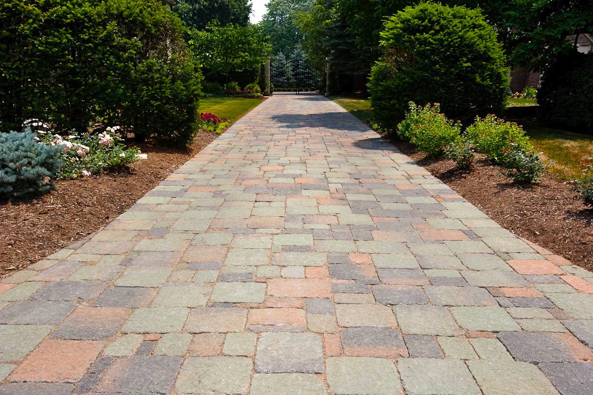 Brick pathway surrounded by lush green bushes.